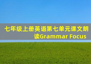 七年级上册英语第七单元课文朗读Grammar Focus